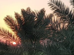 20181004_174200
