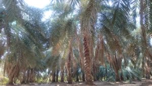 IMG-20181124-WA0044