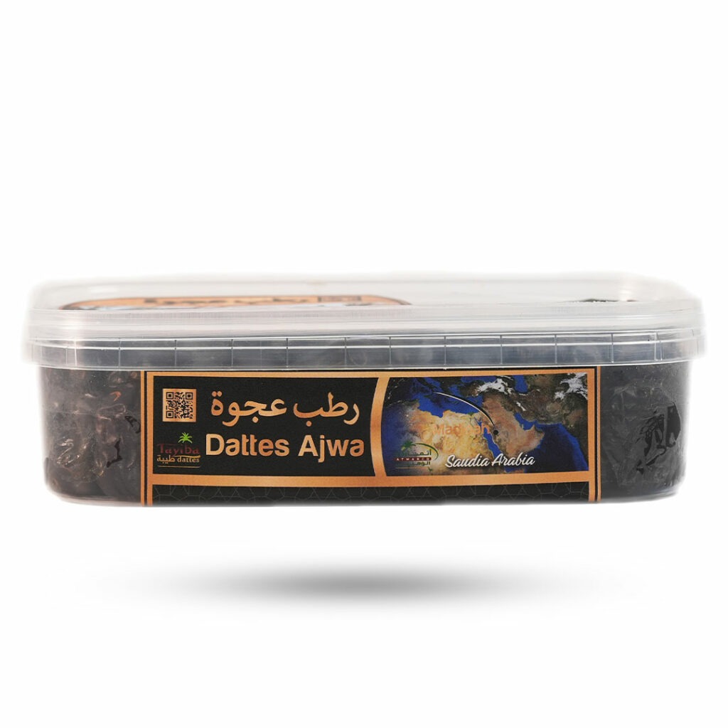 imgi_11_03-2-1024x1024