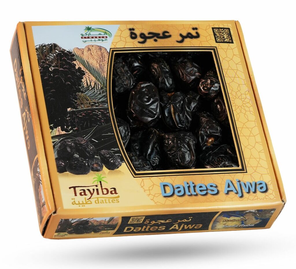 imgi_16_02-1024x1024