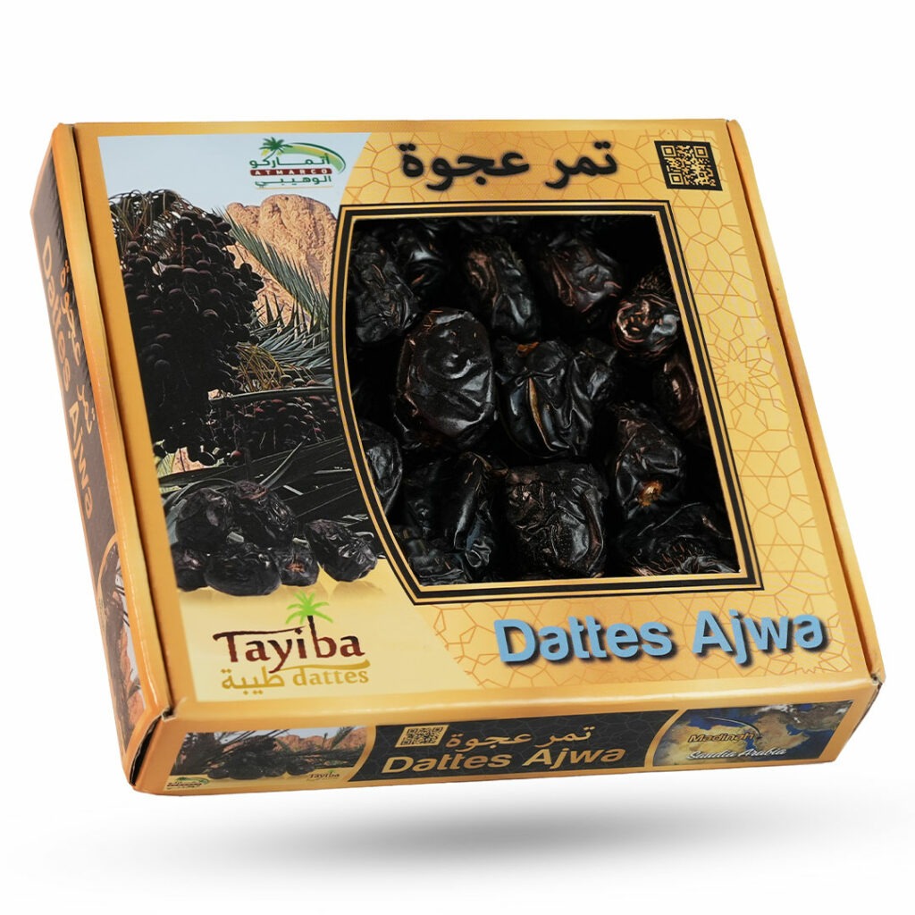 imgi_16_02-1024x1024