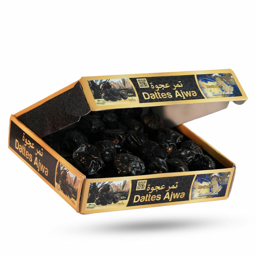 imgi_18_01-1-1024x1024