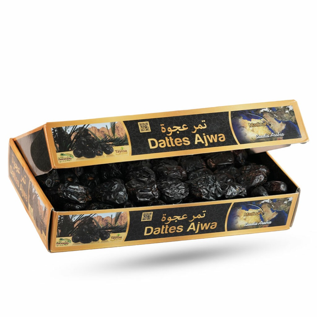 imgi_22_02-5-1024x1024